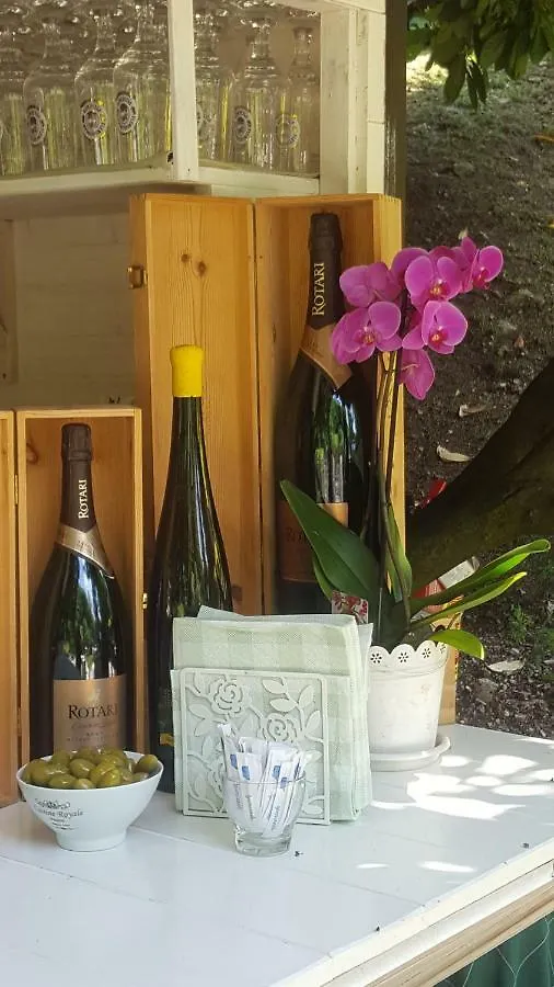 Platani Resort 2*, Caprino Veronese Włochy