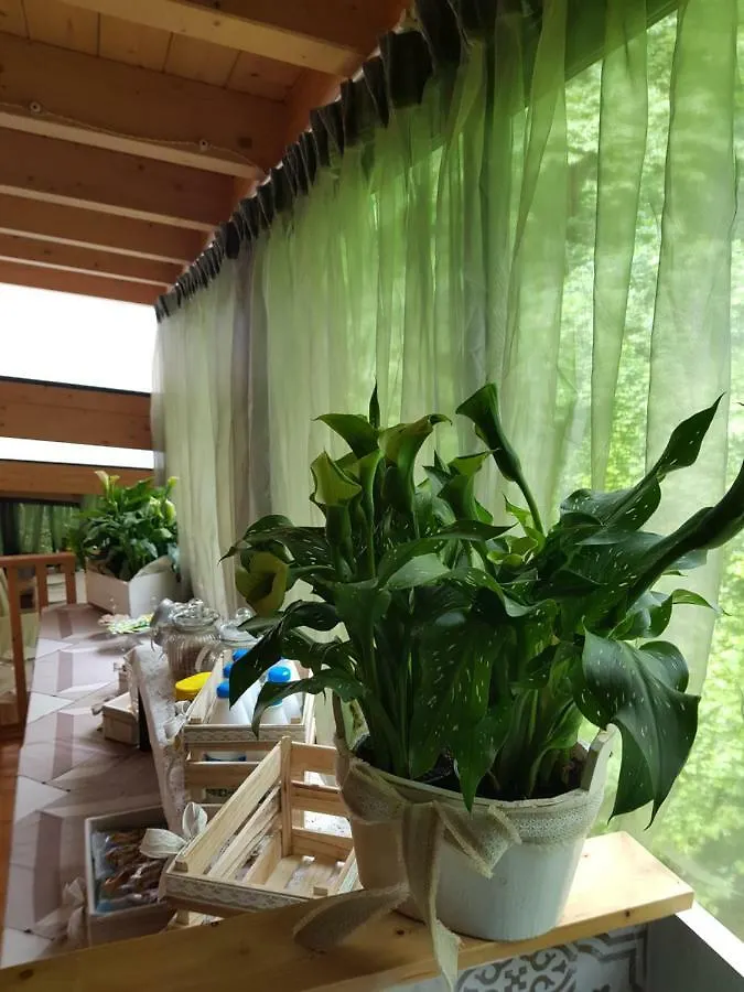 Platani Resort Italia